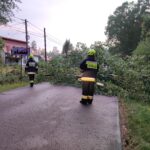 6. Wola Mędrzechowska (1)