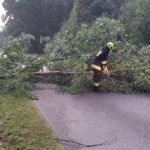 6. Wola Mędrzechowska (2)