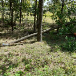 Wypadek DK nr 73 (4)