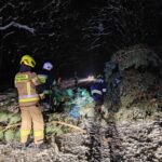 1. Drzewo - Załuże (1)