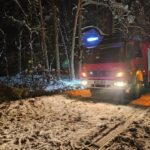 1. Drzewo - Załuże (2)