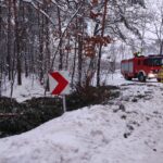 2. Drzewo - Załuże (3)