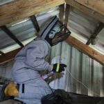 Gniazdo owadów - Szczucin (1)