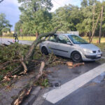 Usuwanie skutków nawałnicy (1)