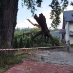 Usuwanie skutków nawałnicy (12)