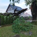 Usuwanie skutków nawałnicy (13)