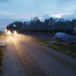 Usuwanie skutków nawałnicy (14)