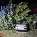 Usuwanie skutków nawałnicy (19)