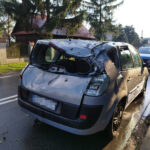 Usuwanie skutków nawałnicy (2)