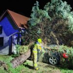 Usuwanie skutków nawałnicy (20)