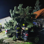 Usuwanie skutków nawałnicy (21)