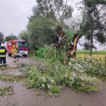 Usuwanie skutków nawałnicy (24)