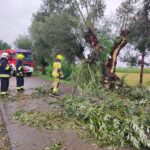 Usuwanie skutków nawałnicy (25)