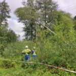 Usuwanie skutków nawałnicy (26)