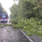 Usuwanie skutków nawałnicy (3)