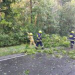 Usuwanie skutków nawałnicy (4)