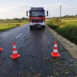 Usuwanie skutków nawałnicy (5)