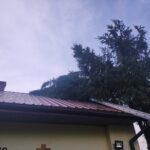 Usuwanie skutków nawałnicy (8)