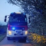 Usuwanie skutków nawałnicy (9)