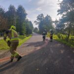 Plama oleju - Skrzynka (1)