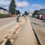 Plama substancji ropopochodnej (1)