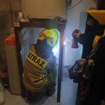 Sadze - Dąbrowica (2)