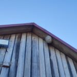Owady (2)