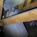 IMG_20240803_182929