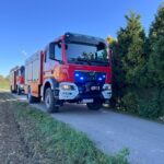 Zdjęcie WhatsApp 2024-09-30 o 20.22.54_4bc8b4dd