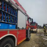 Sadze w Szczucinie (2)