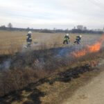 Pożar nieużytków (2)