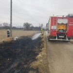 Pożar nieużytków (3)