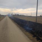 Pożar nieużytków (4)