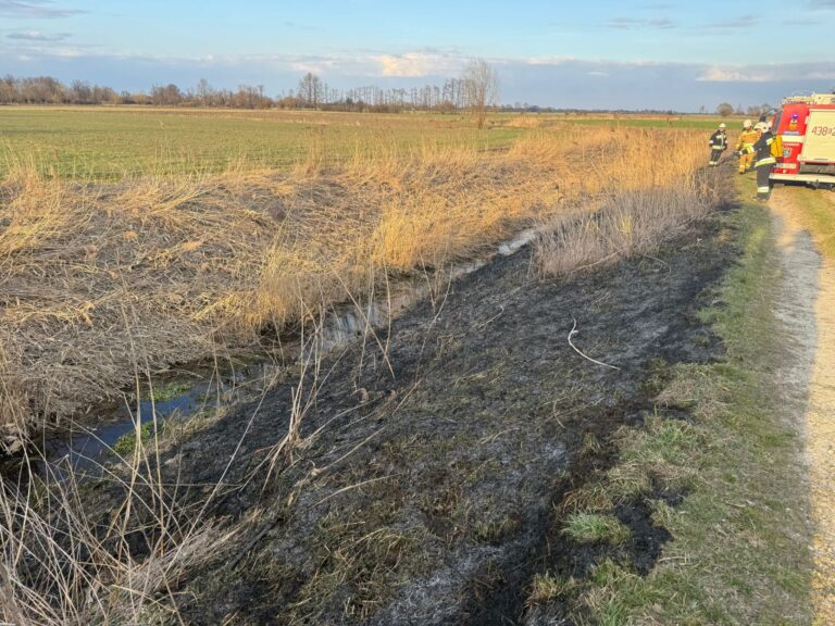 OSTATNIE TRZY ZDARZENIA