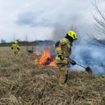 Pożar nieużytków (1)