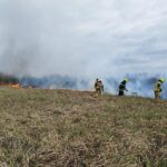 Pożar nieużytków (2)