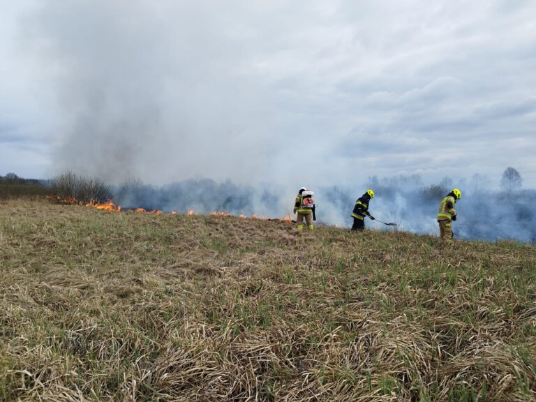 DUŻY POŻAR NIEUŻYTKÓW W BRZEZÓWCE