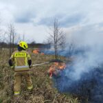 Pożar nieużytków (3)
