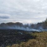 Pożar nieużytków (4)