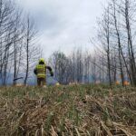 Pożar nieużytków (5)