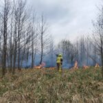 Pożar nieużytków (6)