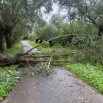 Burza 27.07 (1)