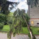 Ułamana gałąź (3)