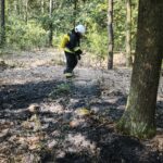 ognisko (2)